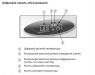 Мармит настольный Bartscher "Cool + Hot"