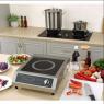 Индукционная плита GGM Gastro IDS5